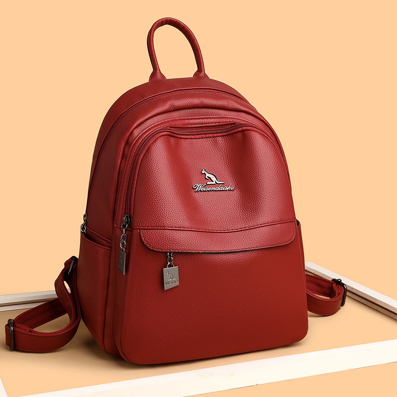 2024 New Women's Shoulder Bag  - Luxury Bags With Zipper avis et prix